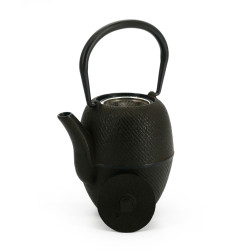 Japanese enameled bronze teapot, ROJI TSUTSUGATA HAKEME ARARE, 0.4lt