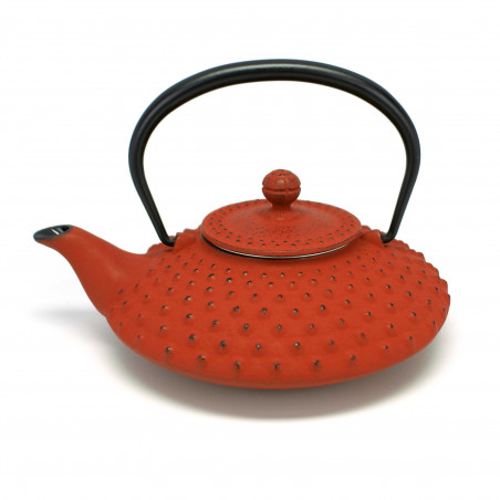 Japanese red cast iron teapot. Iwachu. Kambin 0.5 lt